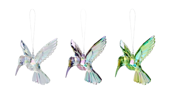 Akryl Kolibrier