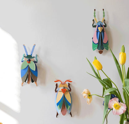 Vægophæng Sakura Beetle