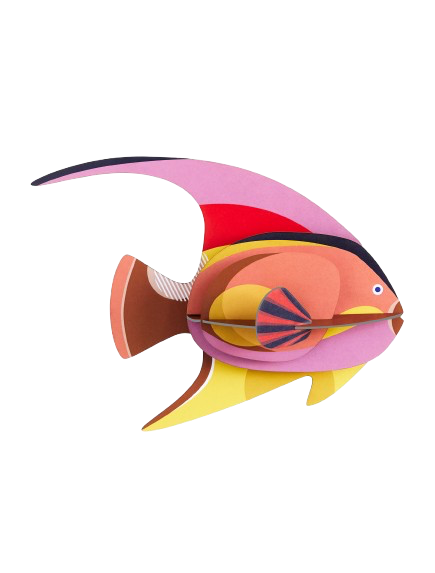Vægophæng Blackcap Fish