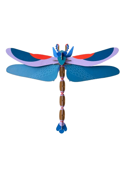 Vægophæng Blue Dragon