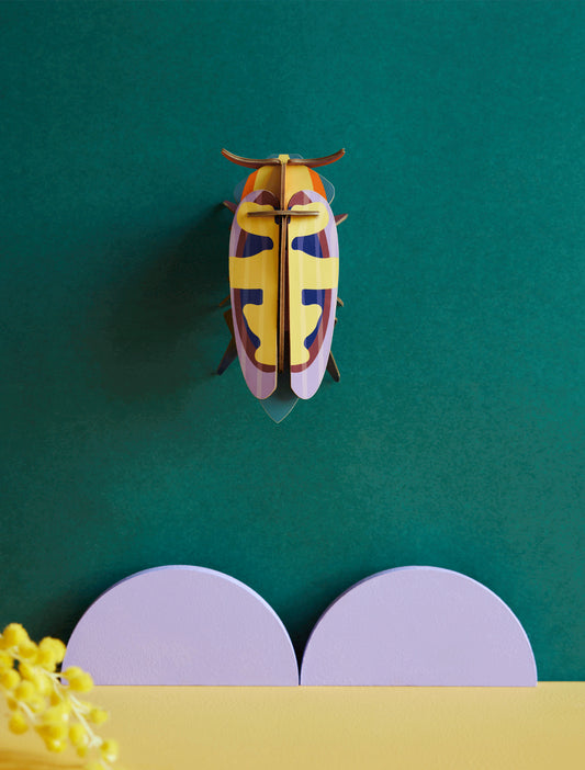 Vægophæng Mango Flower Beetle