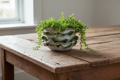 Pot Blume Grøn
