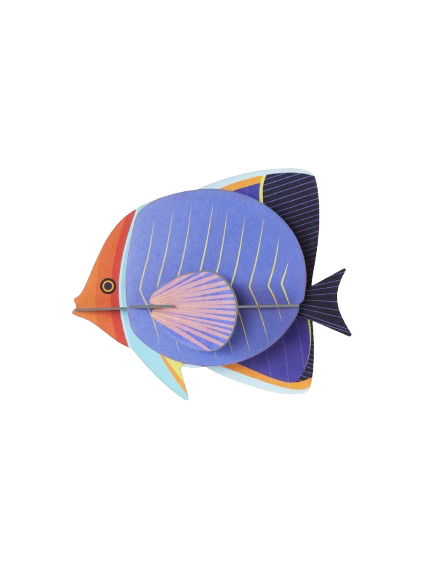 Vægophæng Butterflyfish