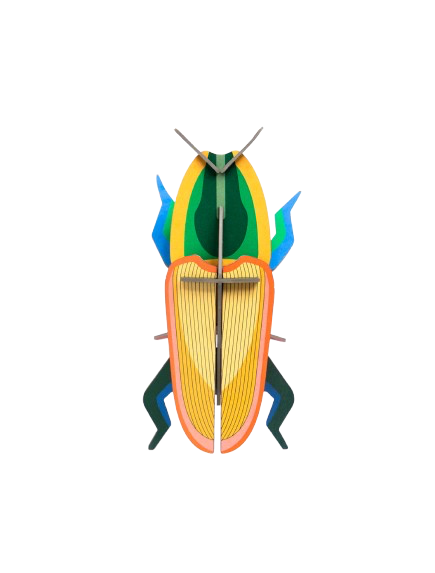 Vægophæng Madagascar Beetle