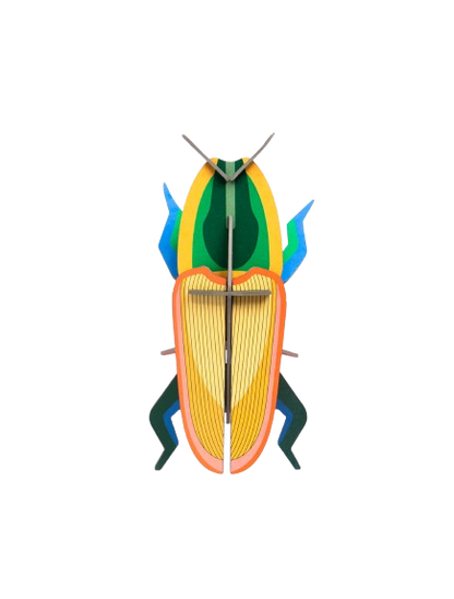 Vægophæng Madagascar Beetle