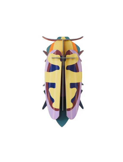 Vægophæng Mango Flower Beetle