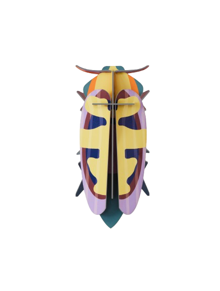 Vægophæng Mango Flower Beetle