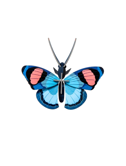 Vægophæng Peacock Butterfly