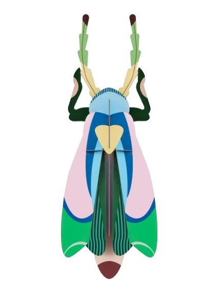 Vægophæng Sakura Beetle