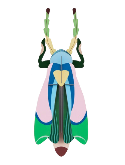 Vægophæng Sakura Beetle