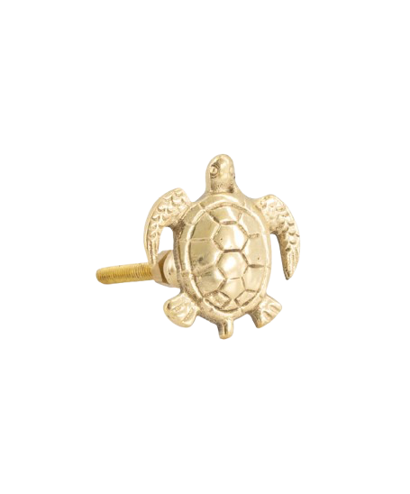 Tommy Turtle Knob