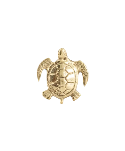 Tommy Turtle Knob