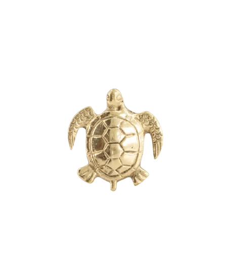Tommy Turtle Knob
